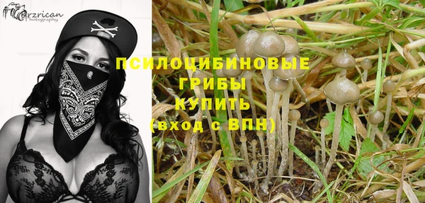 гашик Аркадак