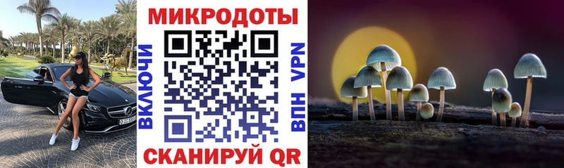 Псилоцибиновые грибы Psilocybine cubensis  Мценск 